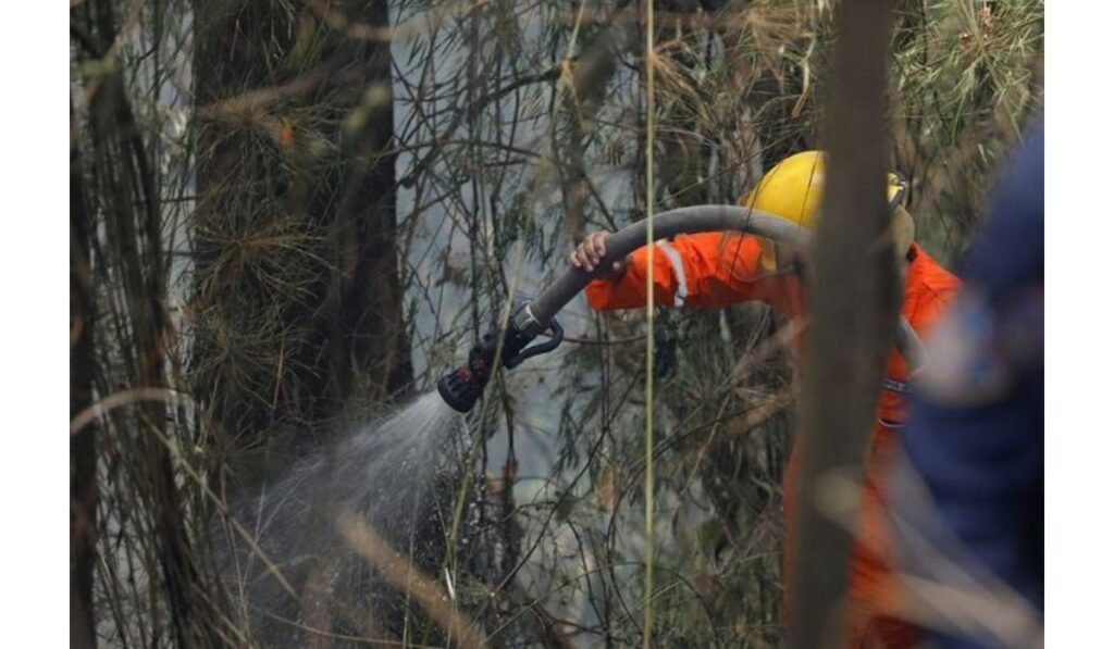 Venezuela Wildfires Crisis