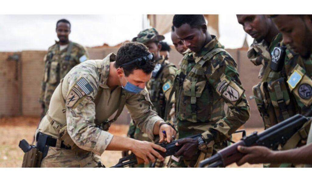 Somalia commando theft