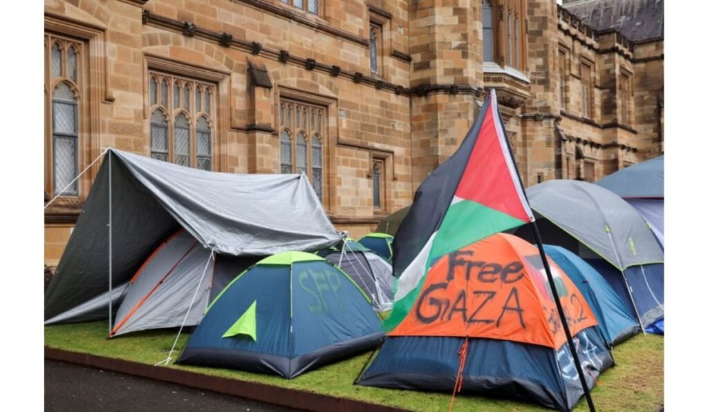 Pro-Palestinian protesters