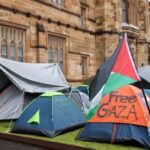 Pro-Palestinian protesters