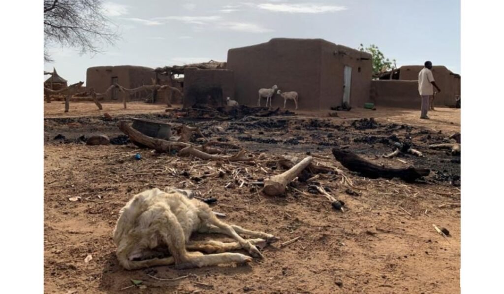 Mali village attack