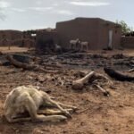 Mali village attack