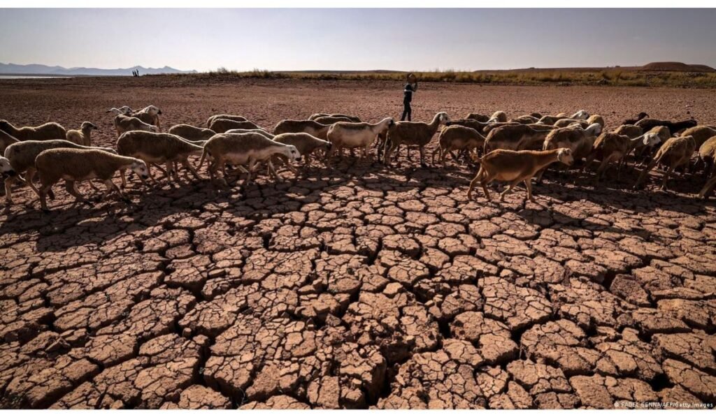 record temperatures streak