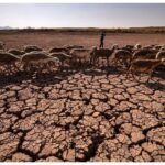 record temperatures streak