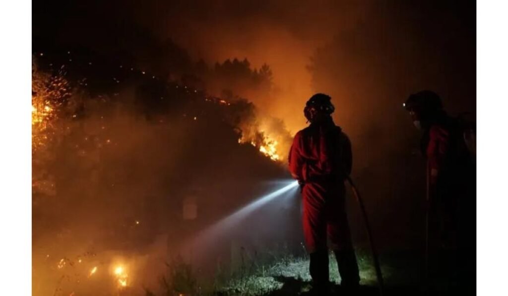 New Mexico wildfire death