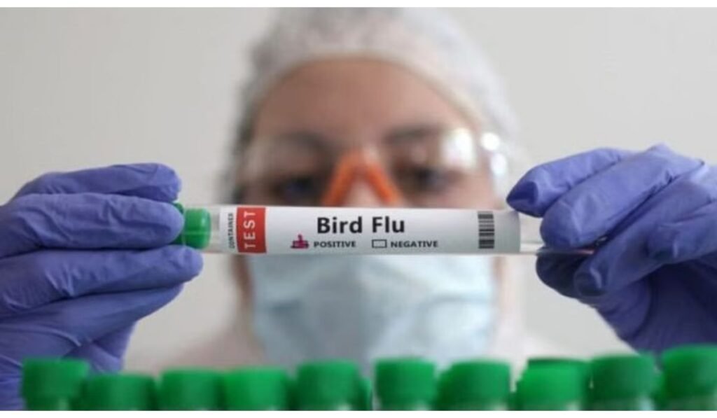 Bird flu outbreak